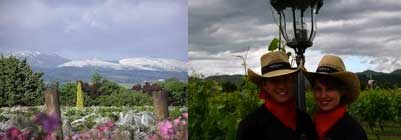 martinborough snow hills visitors