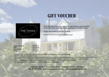 Gift Voucher $100
