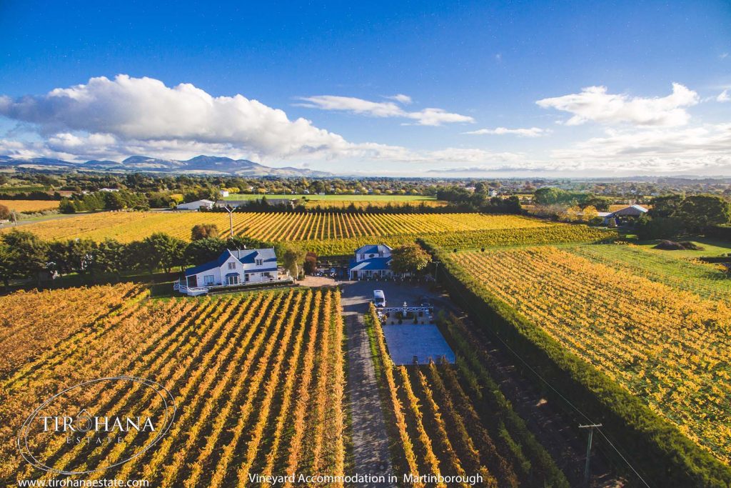 Stay on an award-winning vineyard in Martinborough at Tirohana and enjoy the nearby wine tasting and restaurant during your accommodation