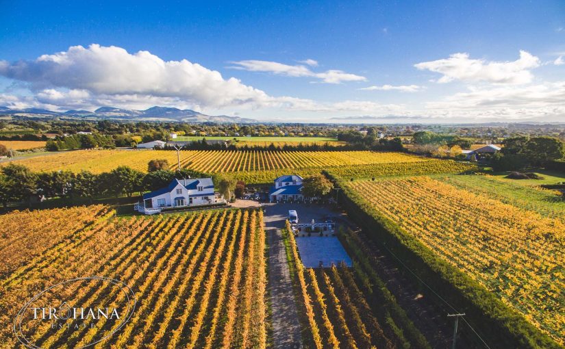 Stay on an award-winning vineyard in Martinborough at Tirohana and enjoy the nearby wine tasting and restaurant during your accommodation