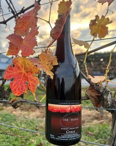 A bottle of Tirohana Estate Pinot Noir 'Grace' 2025 in Martinborough by the vines from where it came